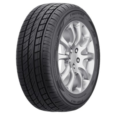 Fortune FSR-303 255 45 R20 105Y