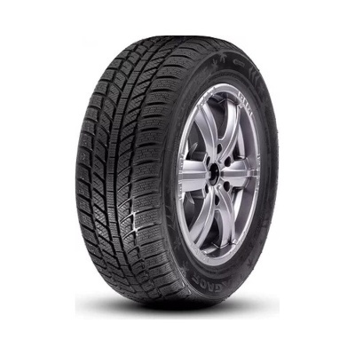 ROADX FROST WH01 195 55 R16 87 V 